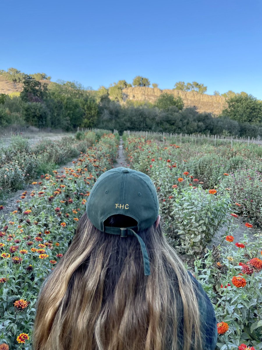 kaytorres_'s tweet photo. Happy as fuck lately 🌻☺️🐈‍⬛ https://t.co/7J6aK9GU9h