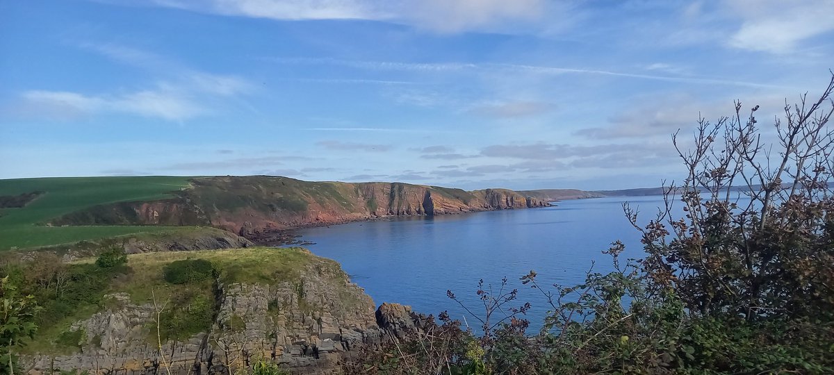 stdavidspembs's tweet image. Today, at #stackpole #pembrokeshire #walescoastpath