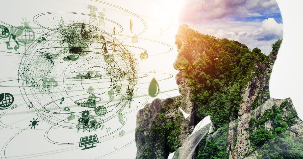 Qlik Sports tweet media