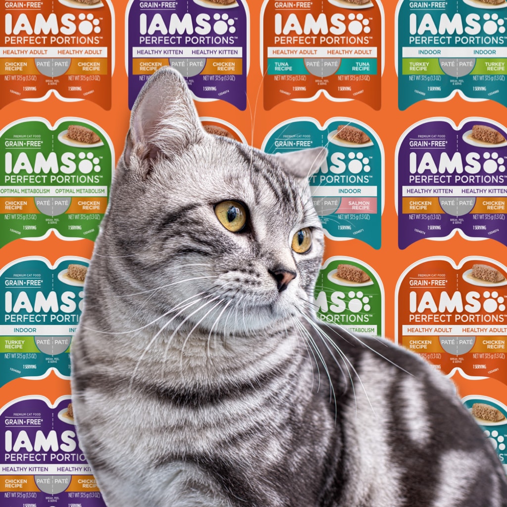 iams cat breed selector