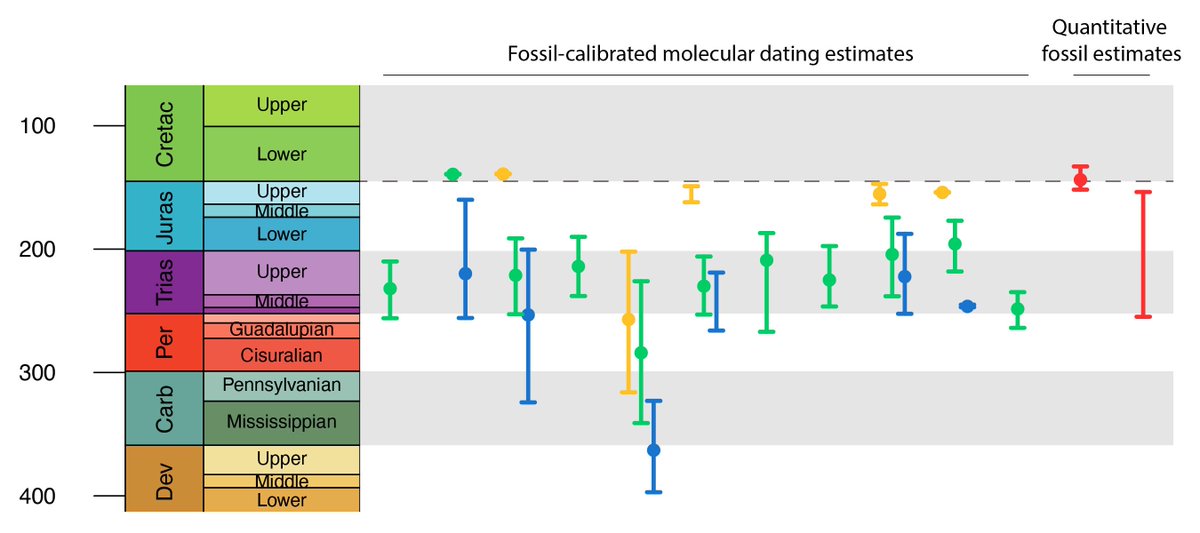 The age of flowering plants is unknown
Here's why: ecoevorxiv.org/n4v6b/
