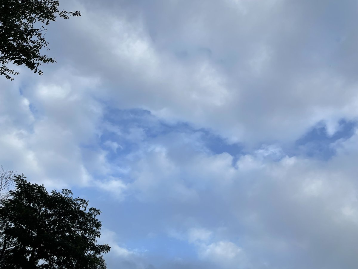 tamuramotoco's tweet photo. おはようございます☀️

早寝したから早起き散歩🍀

厚い雲の間から青空😊
今日もいい日になりますように✨✨❤️ https://t.co/DpusRcalzo
