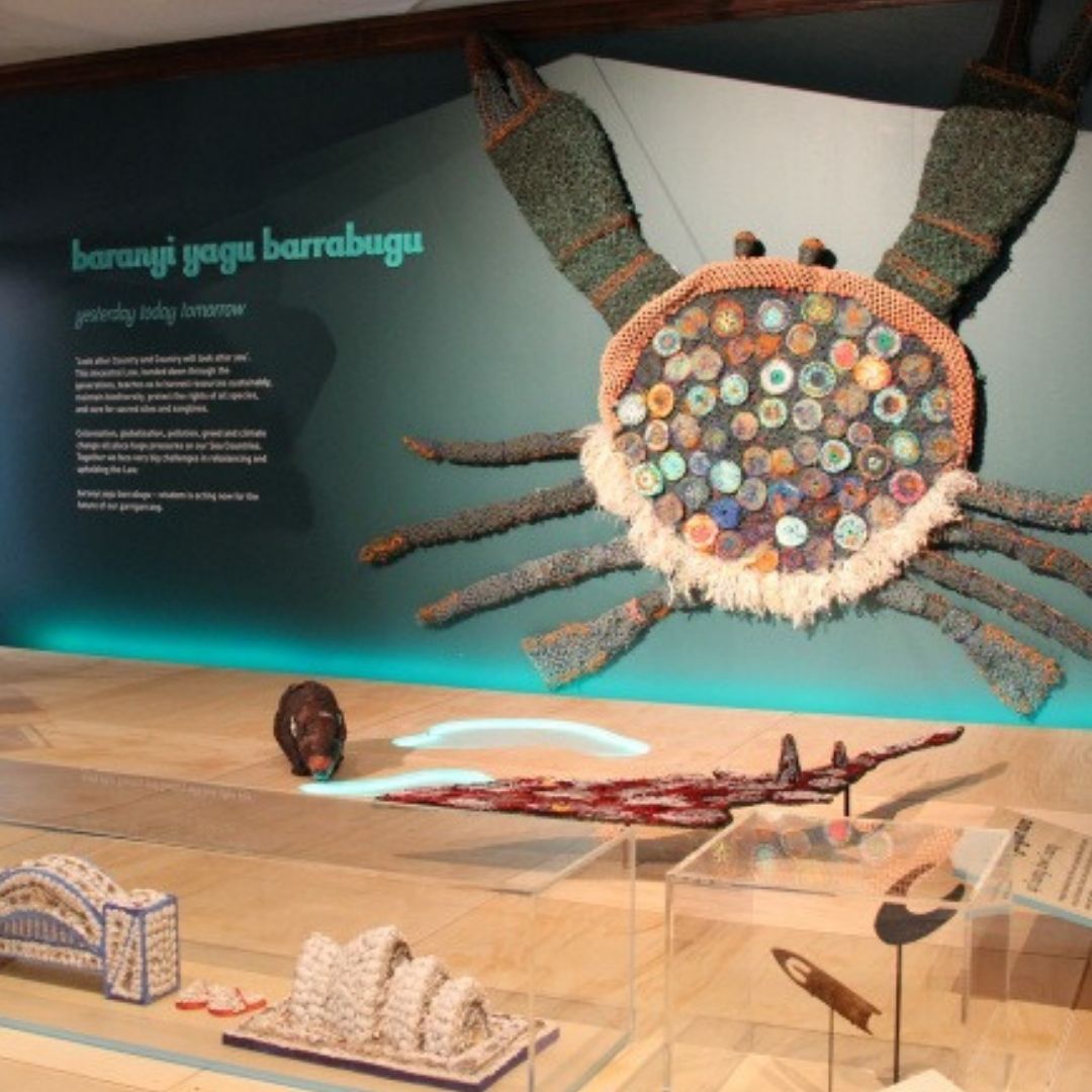 Australian Museum tweet media