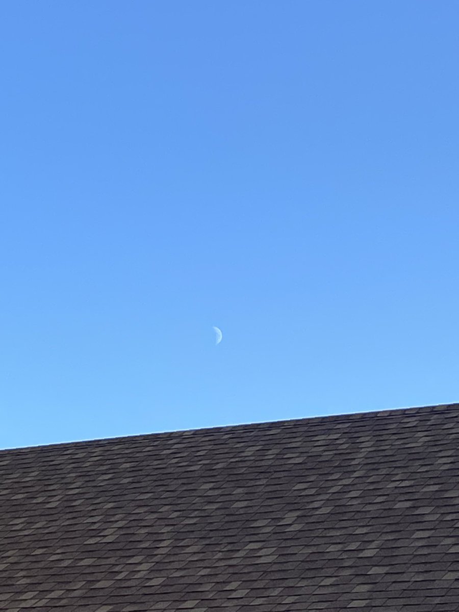 moon tweets tweet media