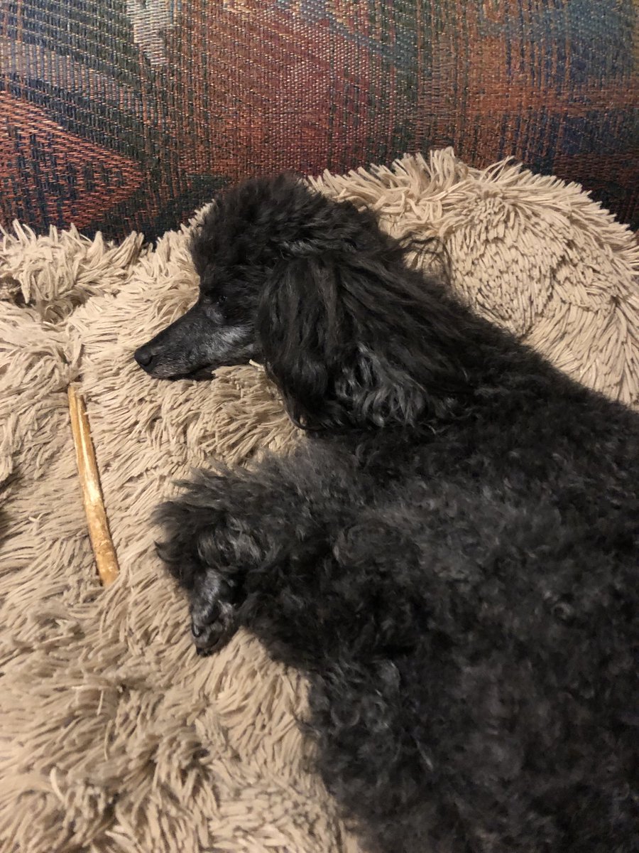 We’re watching TV before bed. Midnight Mass. Netflix.