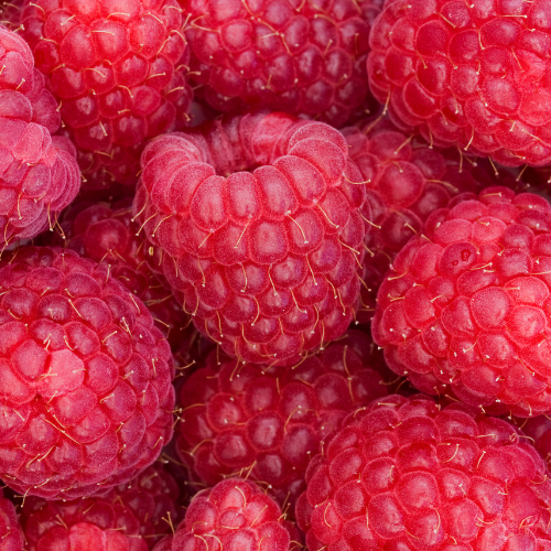 SalisburyMelts's tweet photo. Raspberry!!!!
#Raspberry #fruity https://t.co/ZG9fv5xQuC