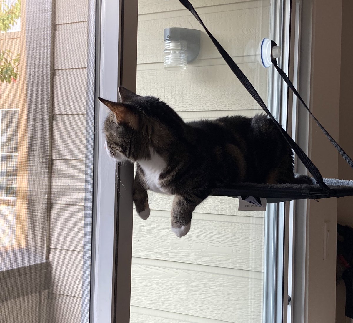 Brie 🧀 🇵🇸 tweet media