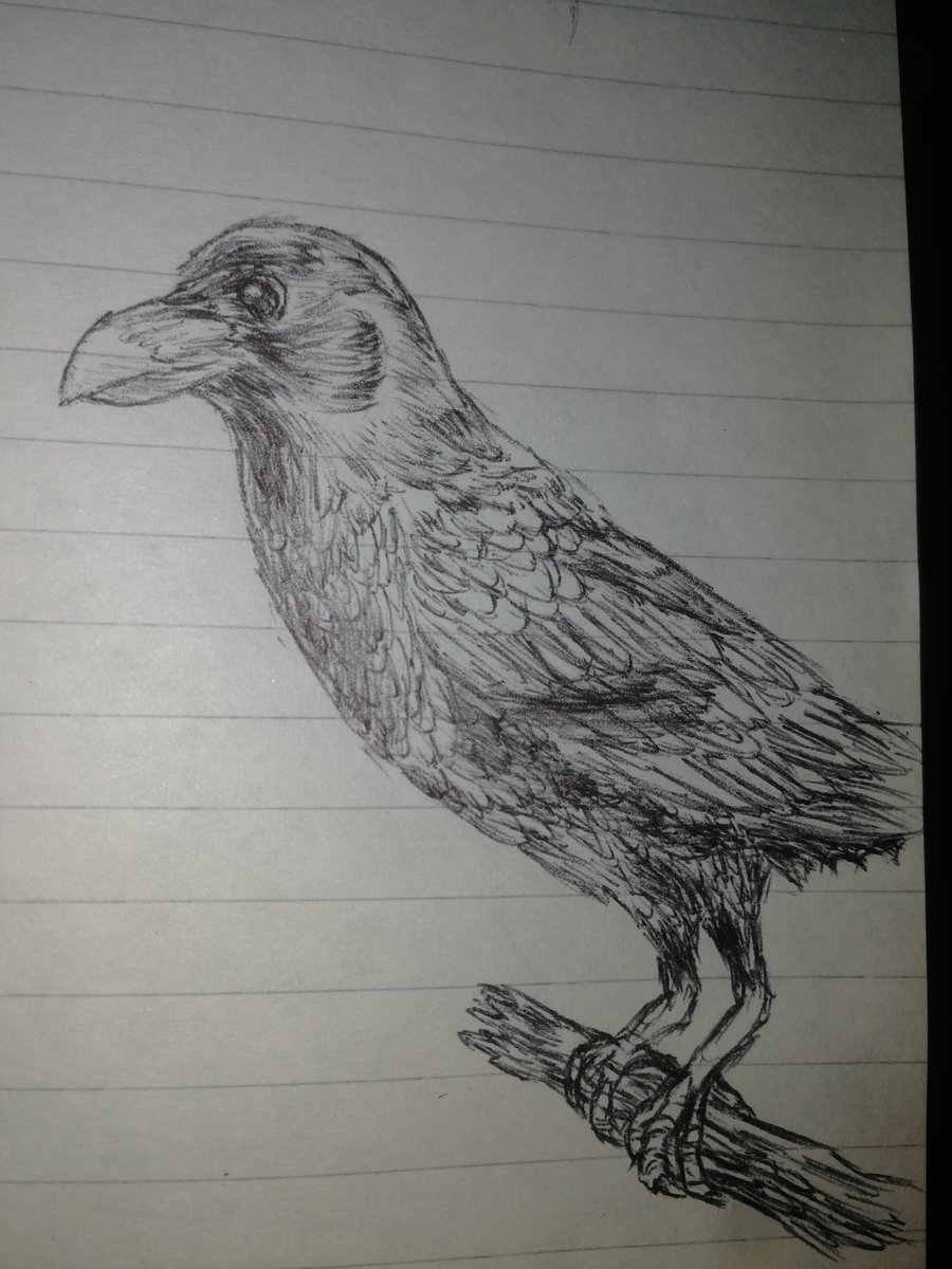 bonobonbons's tweet photo. Some #inktober2021 attempts :) https://t.co/7giFT1hlV1