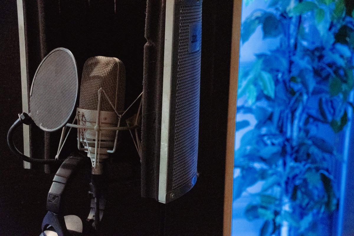 Looking for a unique &amp; vibey music studio in Los Angeles? 

Book this studio in Atwater Village that's perfect for recording, mixing, &amp; mastering starting at only $25/hr on <a href="/studiotimeio/">Studiotime</a> 

studiotime.io/l/echobend-rec…