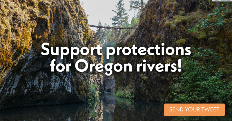 ouroregonrivers's tweet photo. A new plan would protect 4,700 miles of Oregon’s rivers and waterways — safeguarding clean drinking water, wildlife habitat, and outdoor recreation for generations to come. Support these critical protections now! Add your voice ⬇️ #WildAndScenicOregon