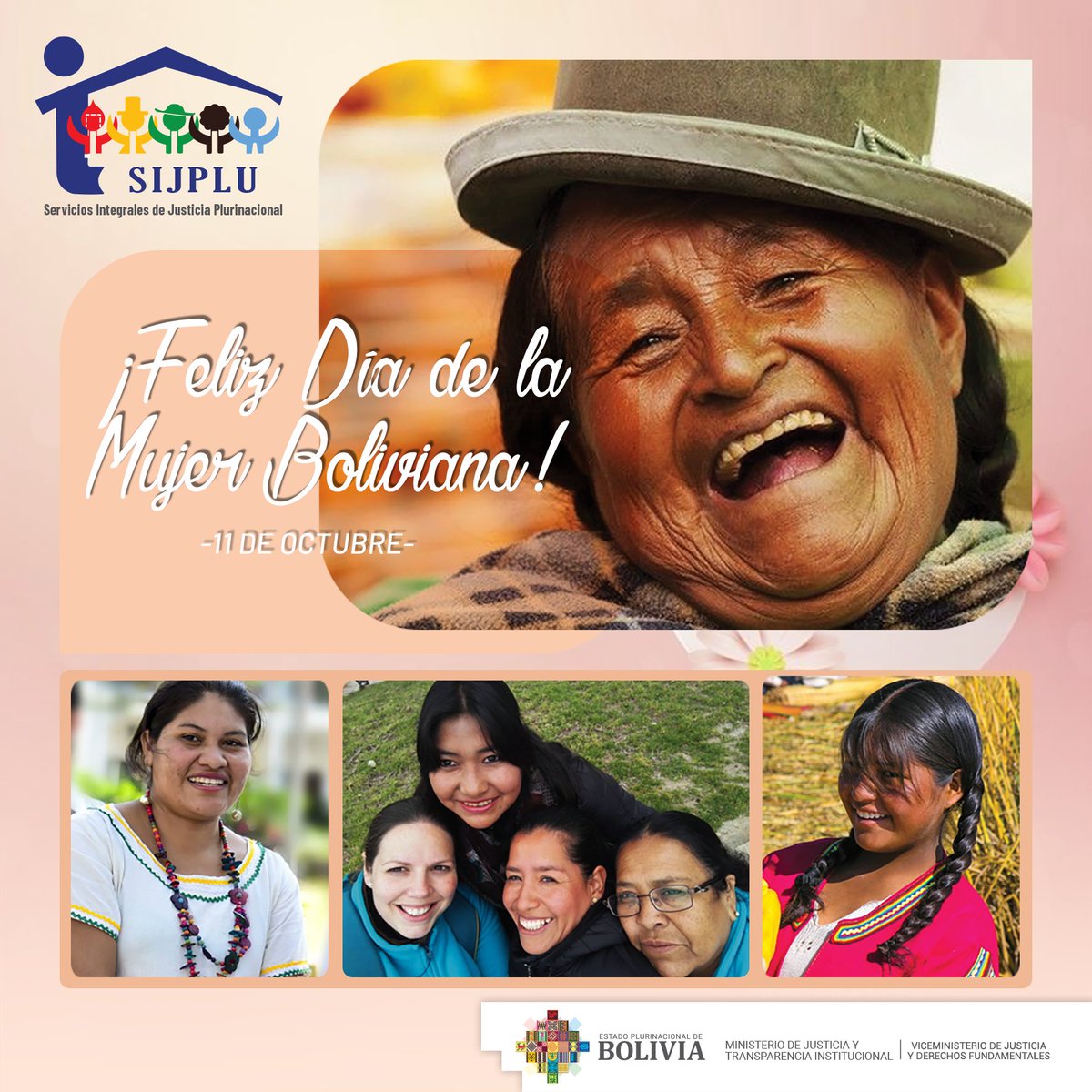 Servicios Integrados de Justicia Plurinacional tweet media