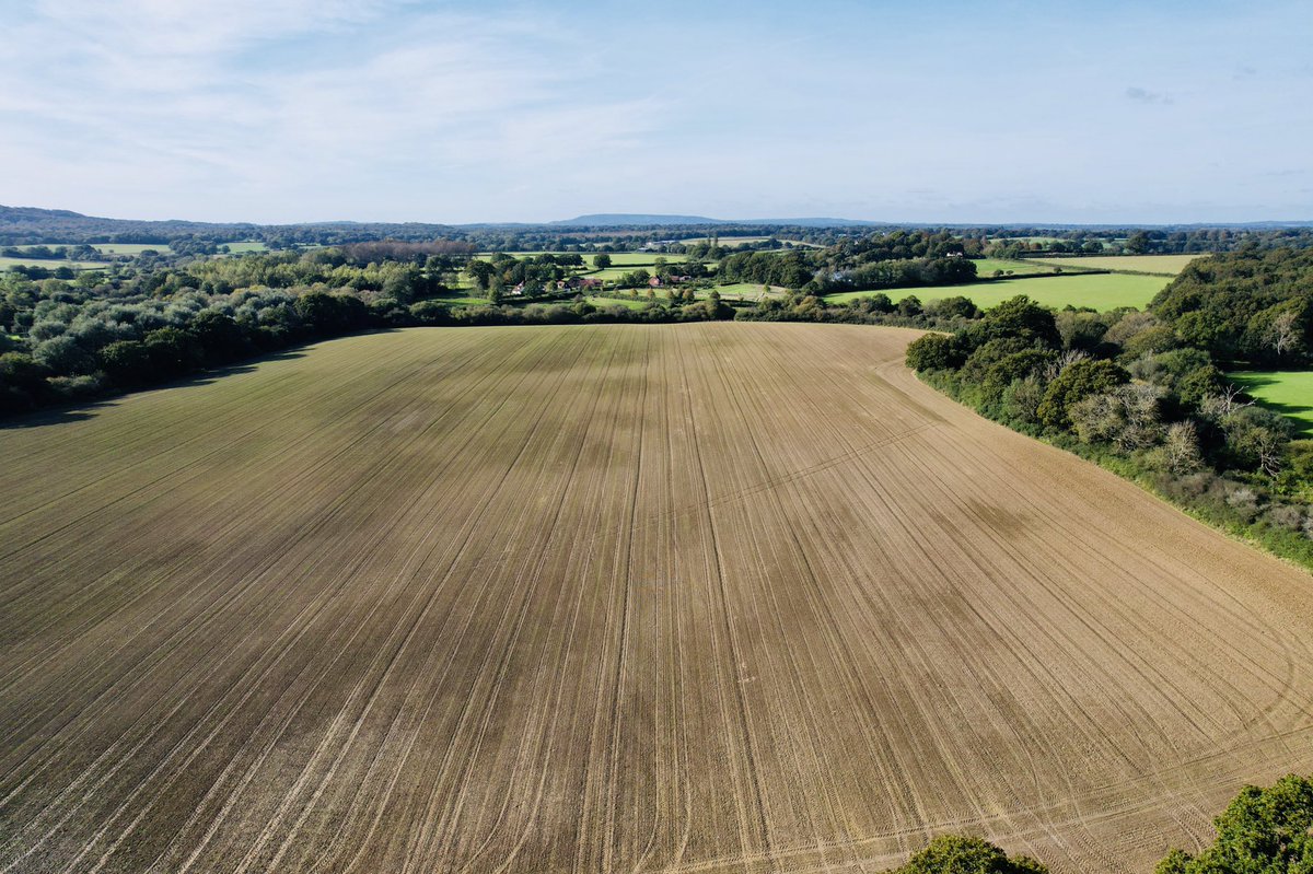 Glad to see the grass drilled two weeks ago is up and going. @Brinsbury <a href="/NFUSussexSurrey/">NFU Sussex & Surrey</a> <a href="/ChallisManning/">Sally Challis-Manning</a>