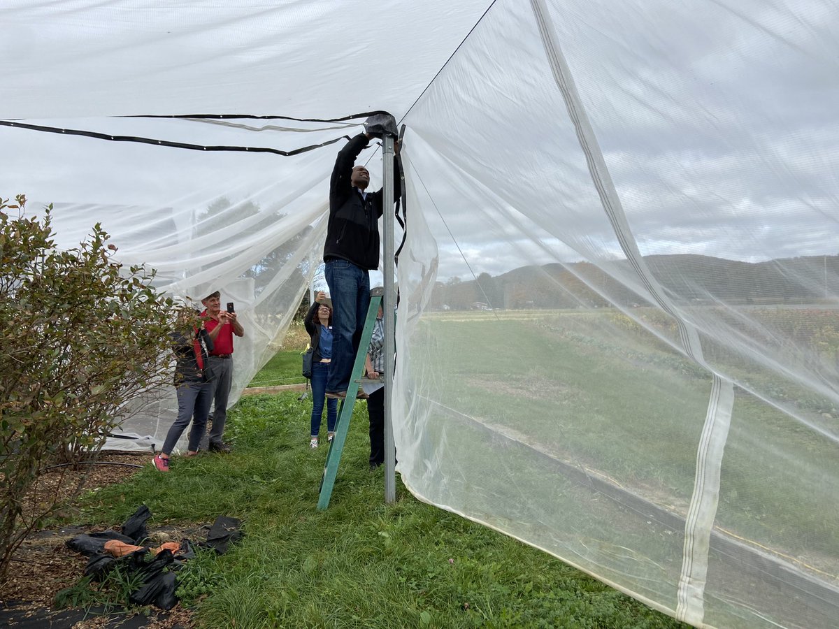 Today, I toured Berry Patch Farm in Stephentown with local agricultural leaders. It was great to speak with owner Dale-Ila Riggs and hear about her work to control invasive species and protect her crops.