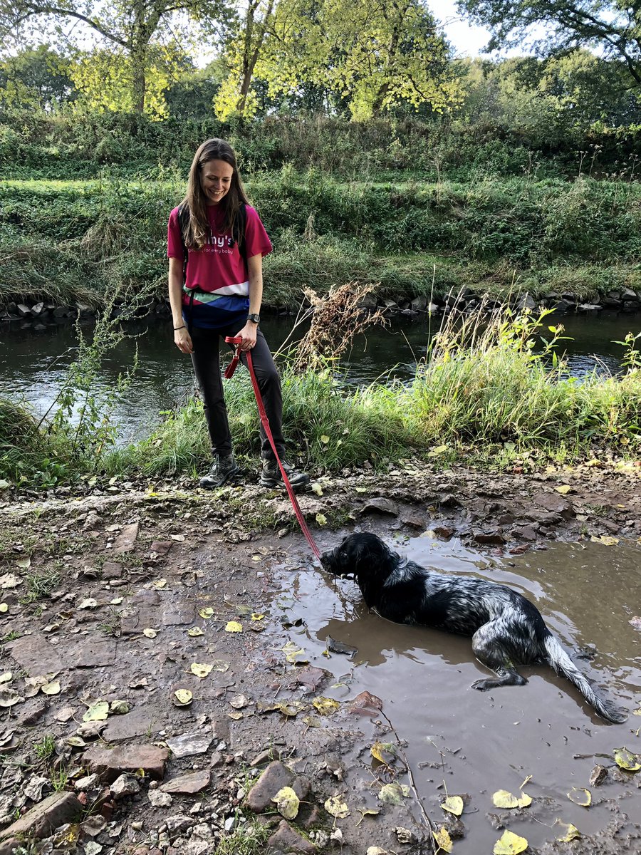 ~180k steps in the bag today after our <a href="/MFH_Research/">Maternal & Fetal Health Research Centre</a> PhD river ramble for #BabyLossAwarenessWeek <a href="/tommys/">Tommy's</a> . Even Louis the pup was tired out 🐶 justgiving.com/fundraising/ph…