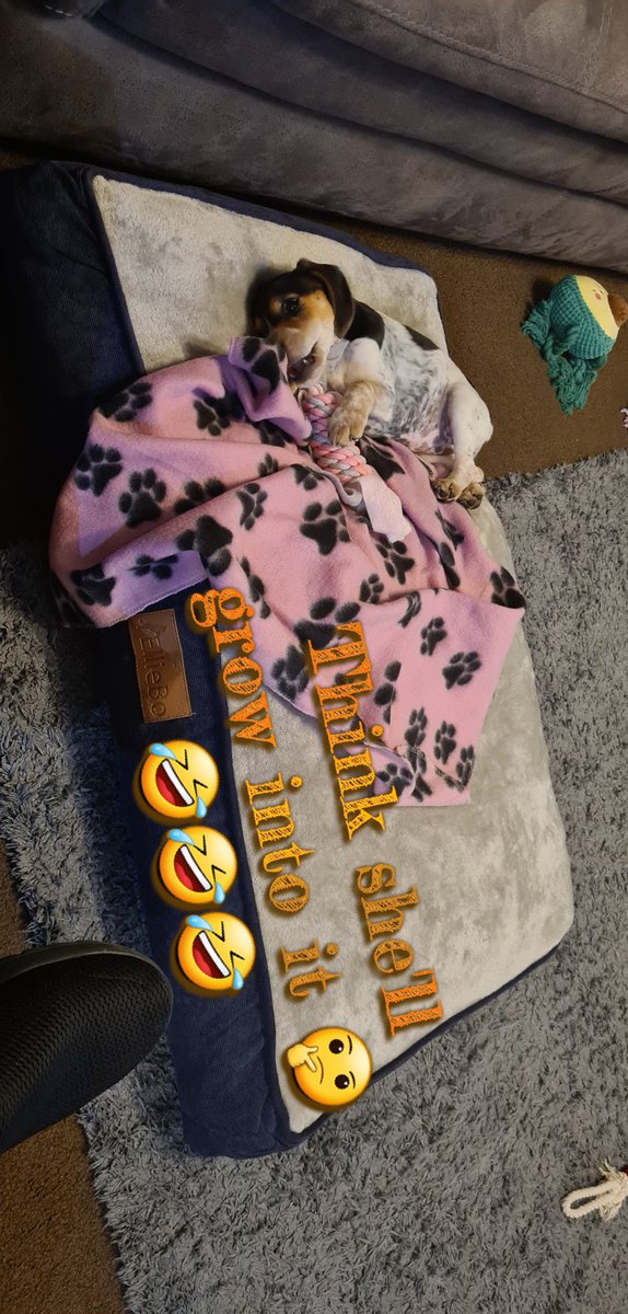 Sooooo my measurements might have been off 🤣🤣