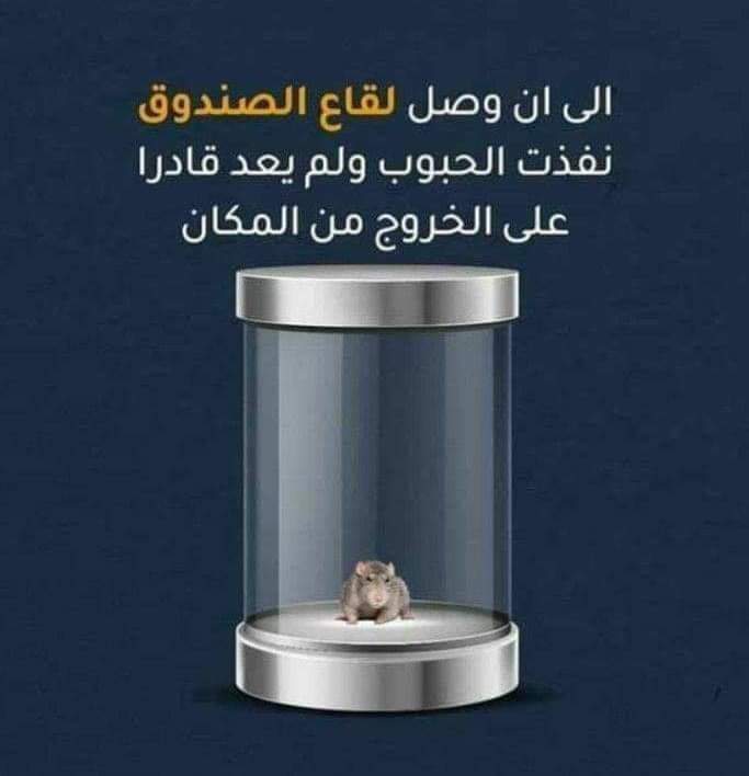 TweeGraph's tweet photo. https://t.co/RphTDsVCTU