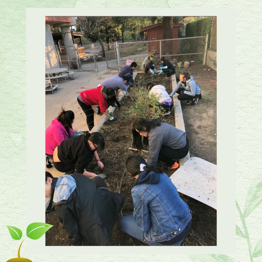 Our proposed demonstration garden will be a .25 acre space located near the Kremen School of Education. In addition to becoming a learning space it will provide a place for Fresno State students and faculty to relax and enjoy the outdoors! 🌱