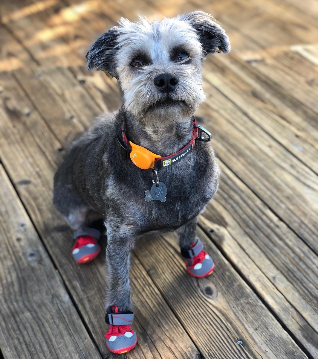 Dressed to impress 🤩 @oliandbillie