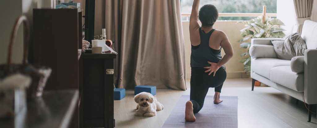 Here's Why You Keep Being Told to Exercise if You Have Lower Back Pain, ow.ly/JdBd50GpA3Q #exerciseifyouhavebackpain