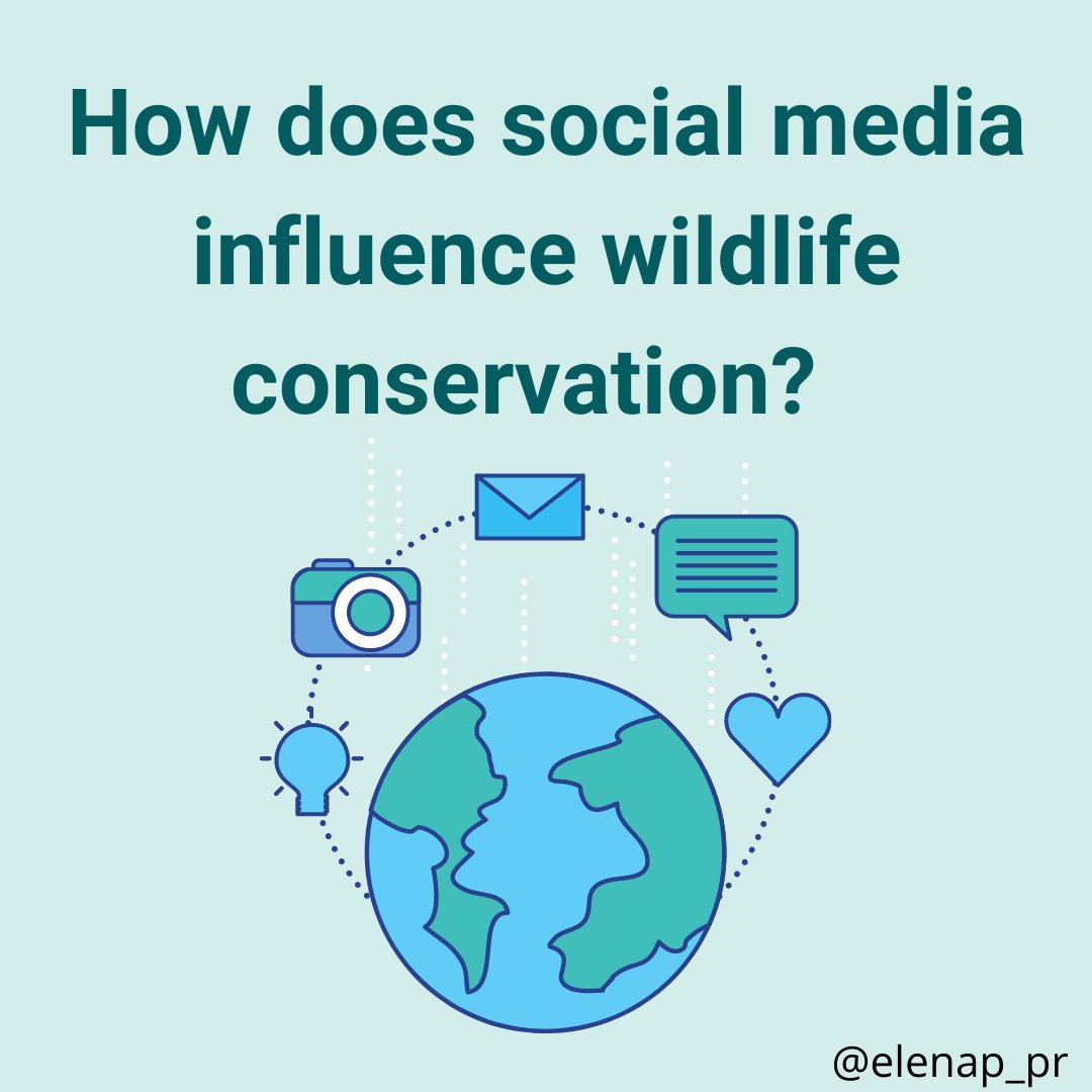elenap_pr's tweet photo. Social media is an important aspect of wildlife conservation! It allows individuals across the world who are passionate about the environment to connect in a unified effort to promote conservation. All information from https://t.co/4AY5PRkYuk and the National Wildlife Foundation. https://t.co/4M86z6EdxM