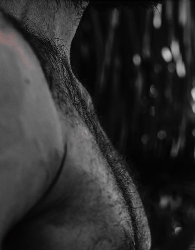 𝙩𝙝𝙚 𝙖𝙡𝙥𝙝𝙖 𝙬𝙤𝙡𝙛.