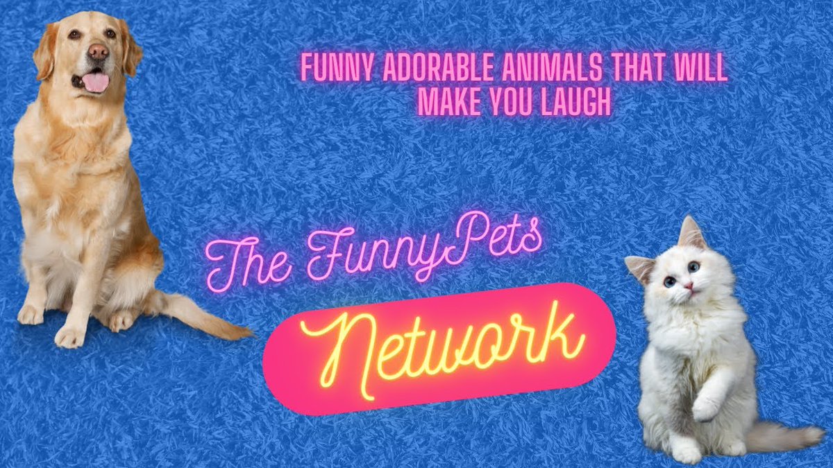 NathanSplit's tweet image. Funny Adorable Animals that Will Make you Laugh – Hi, thanks for watching our video!
I decided to create this channel as a huge animal lover, and seeing my own cat doing the most crazy stuff on an almost daily base XD

I would like... youtube.com/watch?v=pJcuHn…