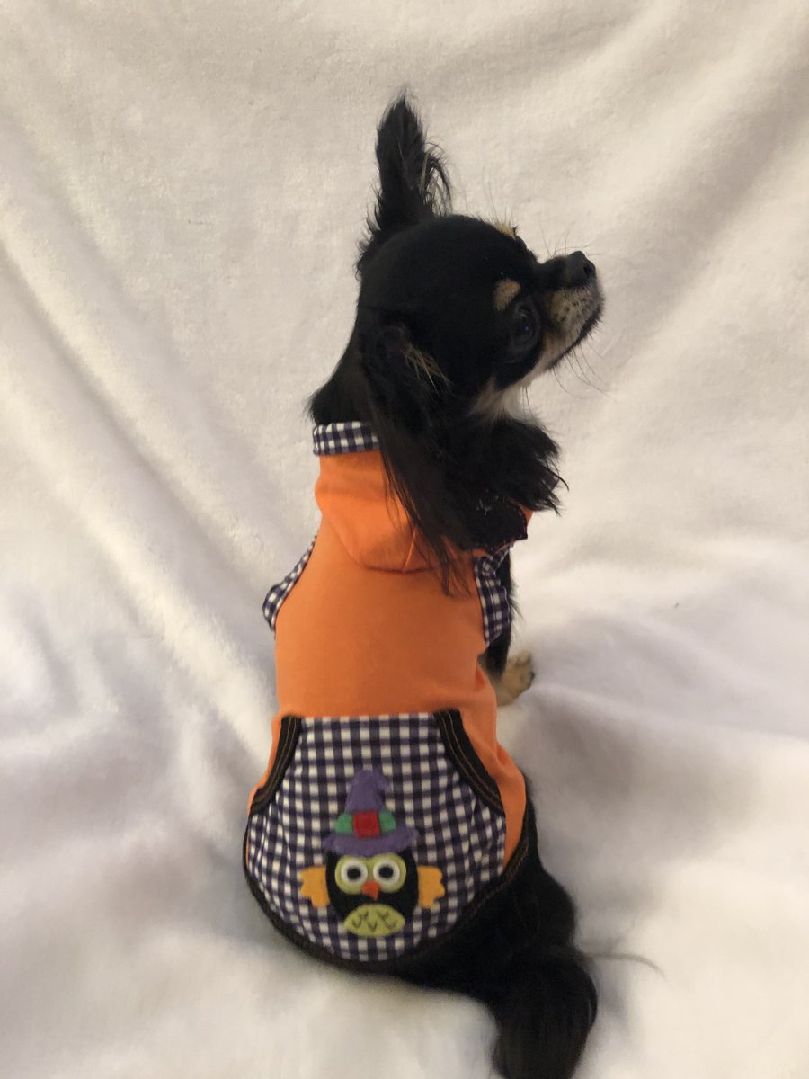 RuffRuffCouture's tweet photo. Two of our fans, Puppaccino and Phoenix, are ready for Halloween in their matching hoodies.  We thank Margaret for sharing pics of her cuties.

https://t.co/9qwaX07r20 https://t.co/TpVdm7zhg8