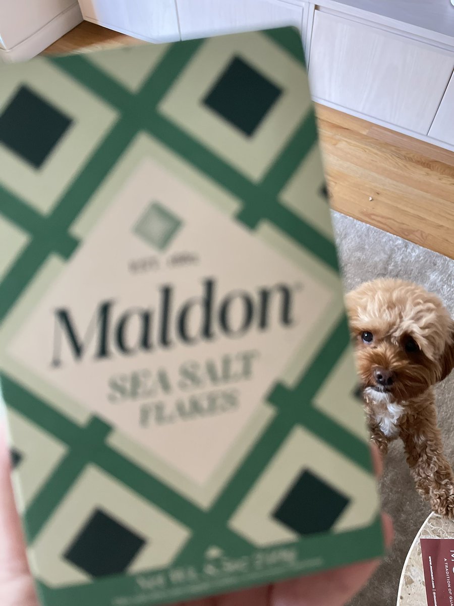 Billie snatching focus from my subject @maldonsalt