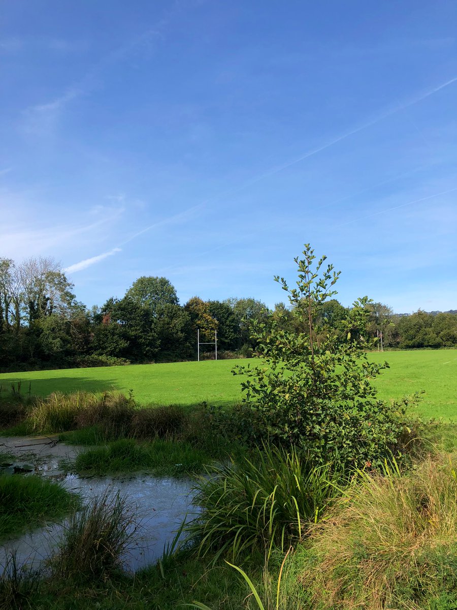 zoewall11's tweet photo. A lovely sunny walk in North Cardiff for todayโs #10000Steps Challenge โ๏ธ๐๐ #Flawsome #WeSaidYeah https://t.co/pCEejSgkeO