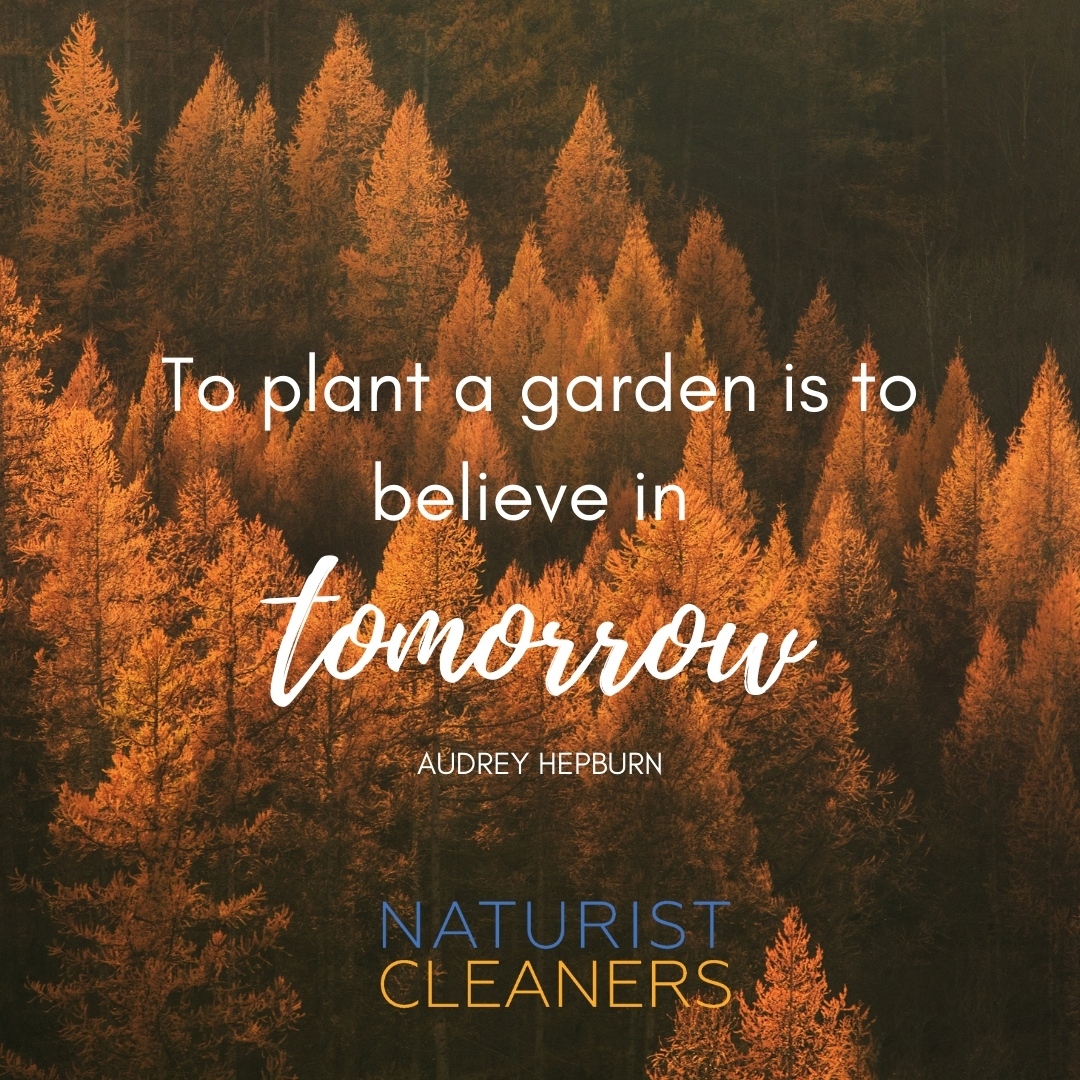 NaturistClean's tweet photo. To plant a garden is to believe in tomorrow🌱 Audrey Hepburn 🌺
#naturist #nudist #nudebody #nude #sexy #nature #naturelovers https://t.co/z8zUqx7eDO
