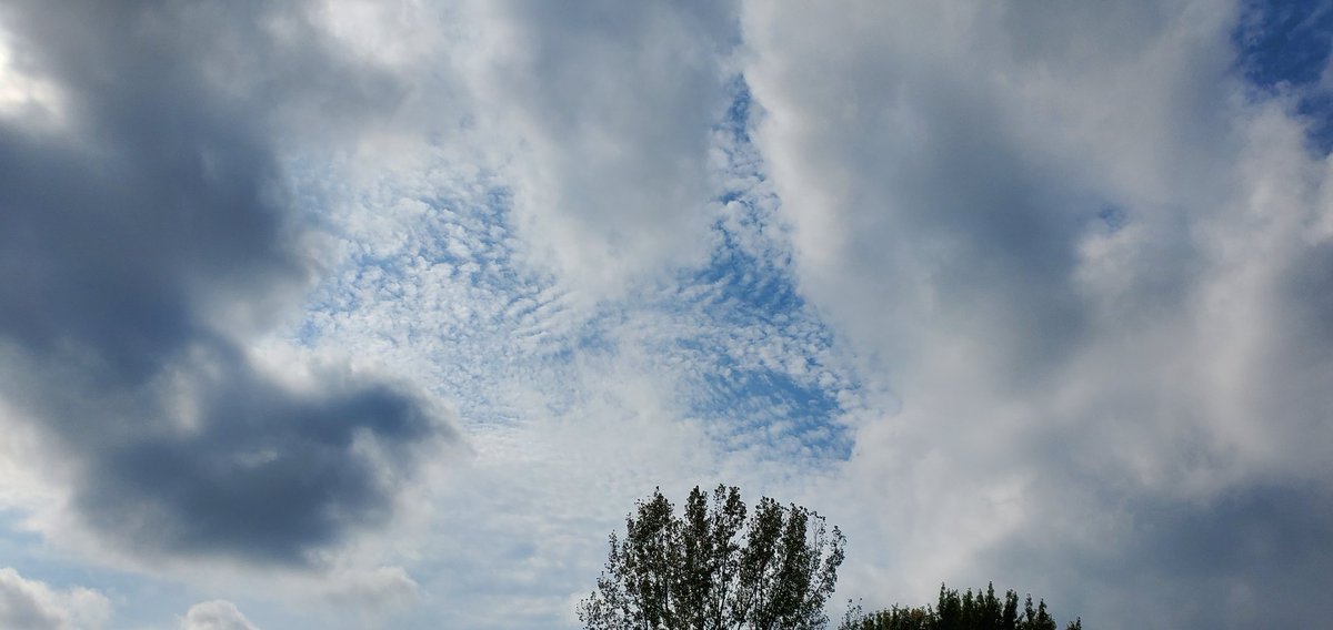 SwifferKitty's tweet photo. #CoolClouds #AltocumulusClouds #CumulusClouds #MixedSkies #CloudFormations Nice cloud formations on our walk today. https://t.co/Te8S0xMefa