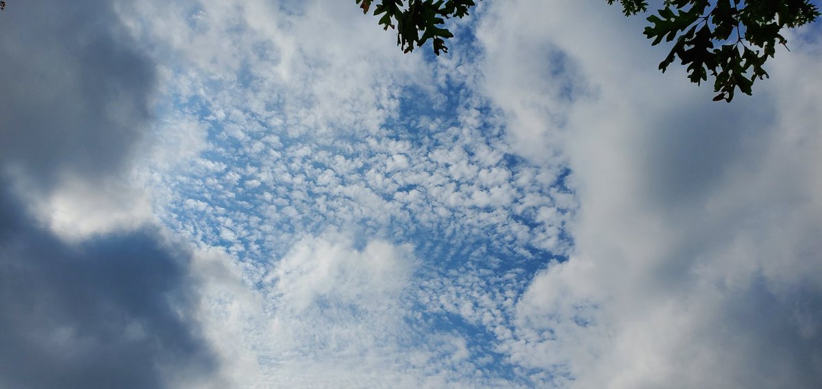 SwifferKitty's tweet photo. #CoolClouds #AltocumulusClouds #CumulusClouds #MixedSkies #CloudFormations Nice cloud formations on our walk today. https://t.co/Te8S0xMefa