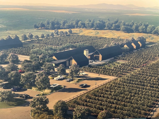 ripKurrent tweet media