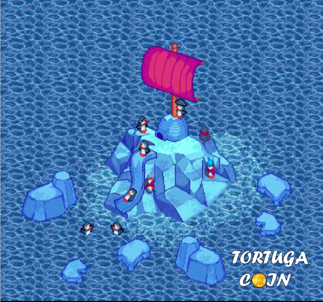 Tortuga Ships🔺BUILDING tweet media