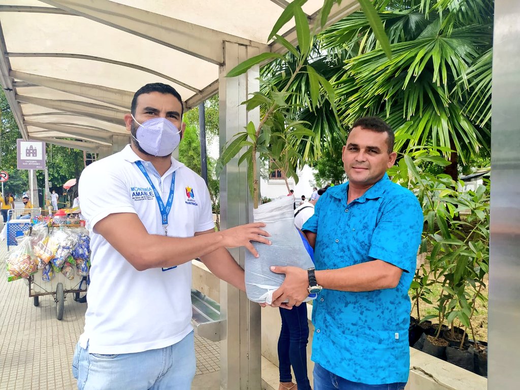 monterialcaldia's tweet photo. Se agotaron los árboles en el punto #AdoptaUnÁrbol de la calle 27 con carrera 4. Pero puedes visitar los otros sitios habilitados en el Centro Comercial Nuestro y el Centro Comercial Alamedas🌳🏃‍♂️💨.  ¡No te quedes sin el tuyo! https://t.co/EsTZD5wuYu