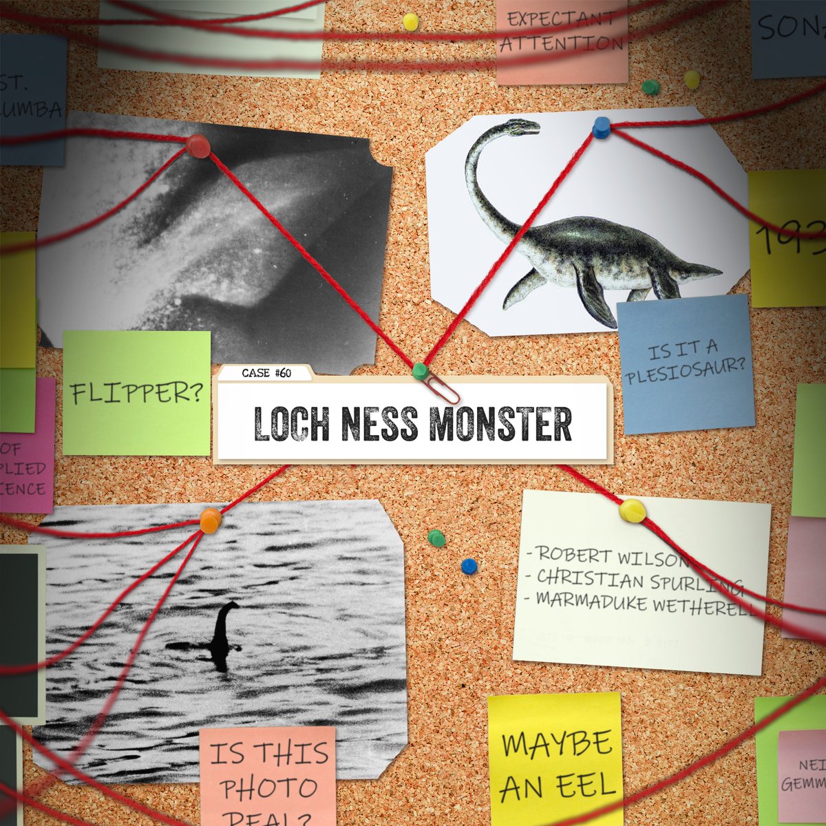 Red Web 🔴🕸 tweet media