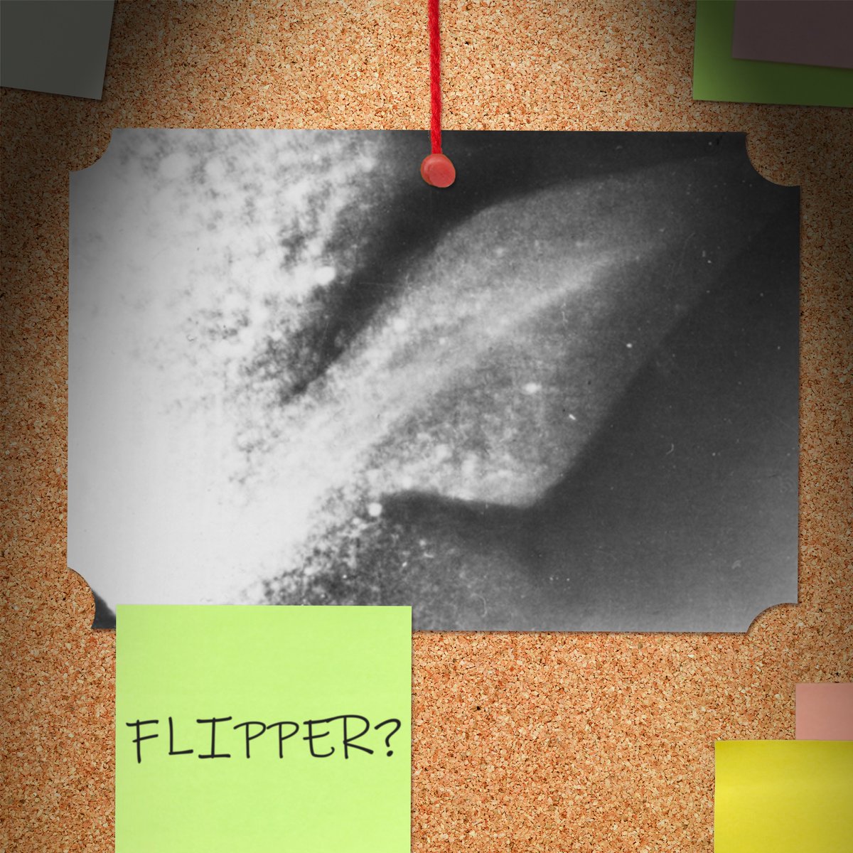 Red Web 🔴🕸 tweet media