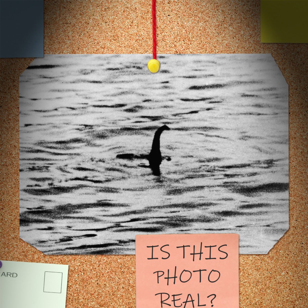 Red Web 🔴🕸 tweet media