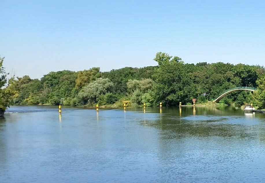 meinhallesaale's tweet photo. Der Blick von der Saale aus in Halle #burggiebichenstein #saale #flussfahrt #marktplatz #oper #steintor #hfc #hallescherfc #halletourismus #hallewood #halleliebe #tour #sachsenanhalt #hallesaale #halle #halleandersaale https://t.co/YjZ78RJCoX https://t.co/RDOEqln2yT https://t.co/yzzbgWpxHr