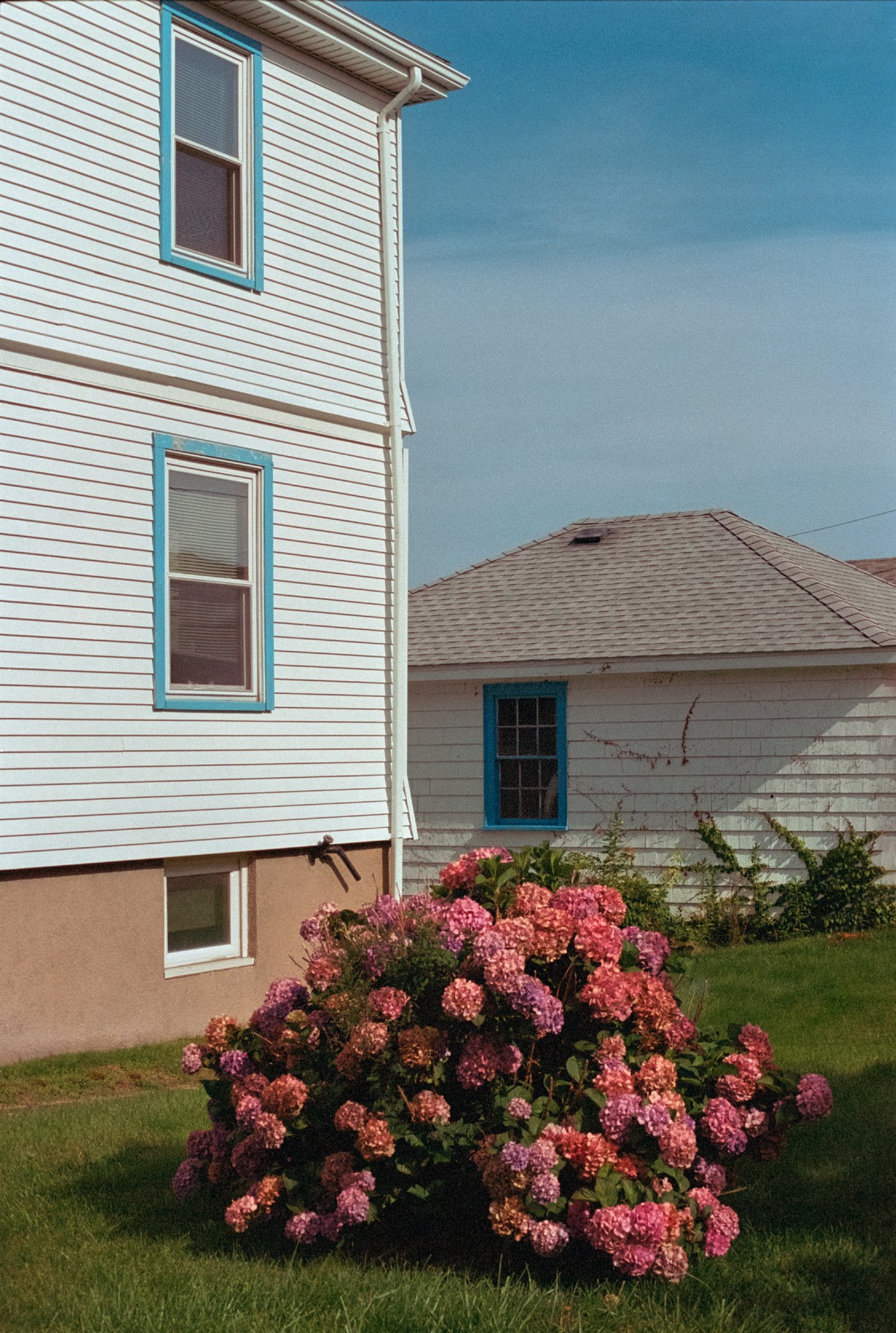 nick rufo on Twitter: 