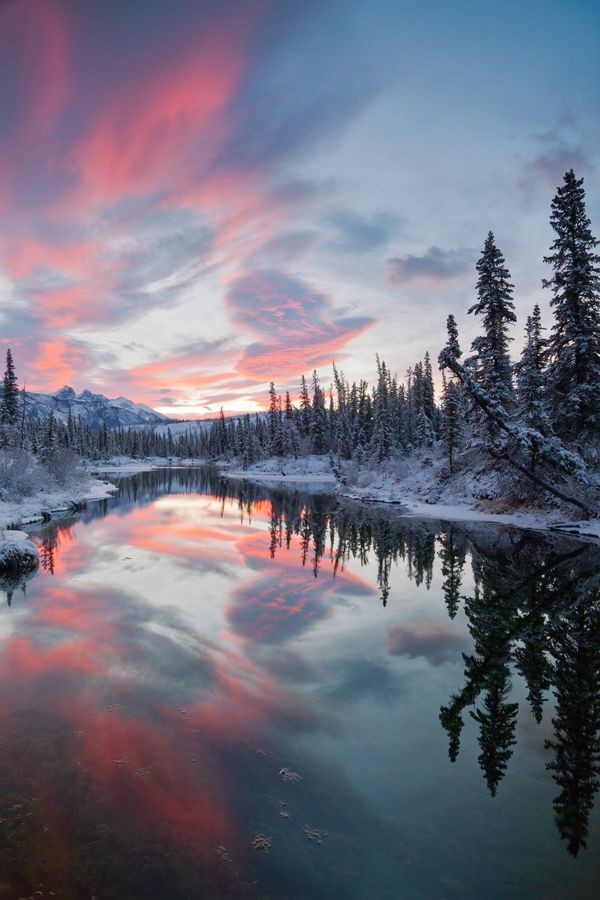 Jasper National Park in reflection. Canada 🇨🇦❤️💗💙