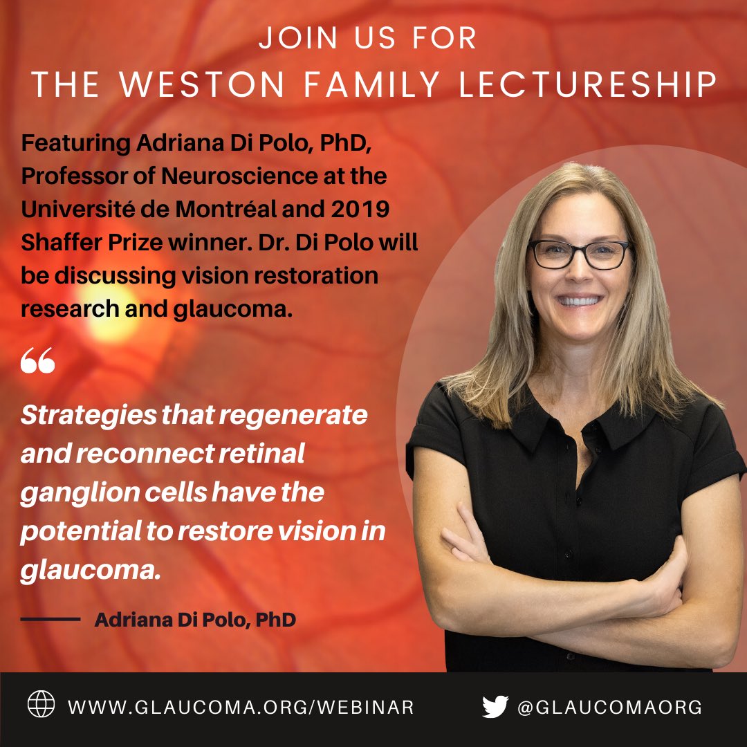 GlaucomaOrg's tweet photo. On Thursday, October 28, 2021, the Glaucoma Research Foundation will present the 2021 Virtual Weston Family Lecture featuring Adriana Di Polo, PhD.

DATE: Thursday, October 28, 2021

TIME: 11:00 AM PT 

https://t.co/UnBd3Z5BCw https://t.co/o3ZOOGTgAr