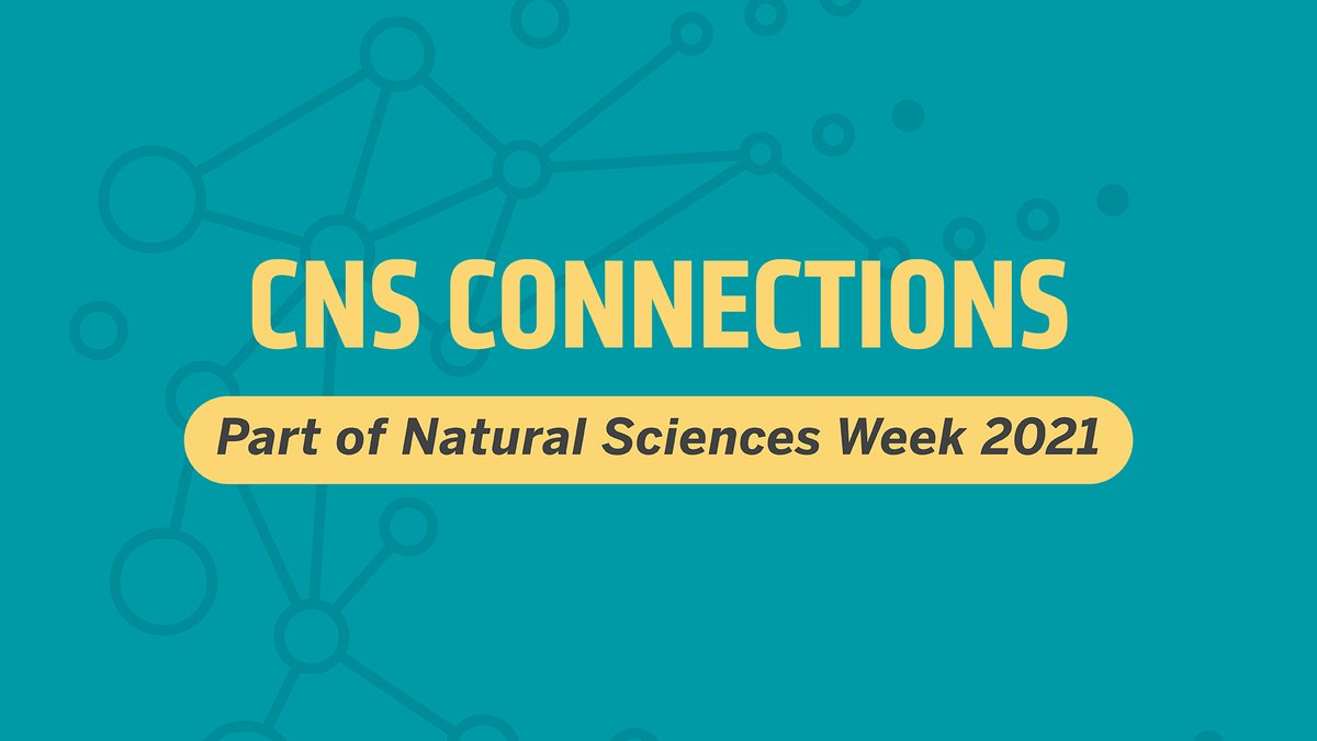 TexasScience's tweet image. Check out CNS Connections TONIGHT (10/11) from 6-8pm for an ideal networking environment to reach out &amp;amp; connect with company representatives interested in meeting @UTAustin students. #NSWeek 

Register for the Zoom session here: txsci.net/cnsconnections