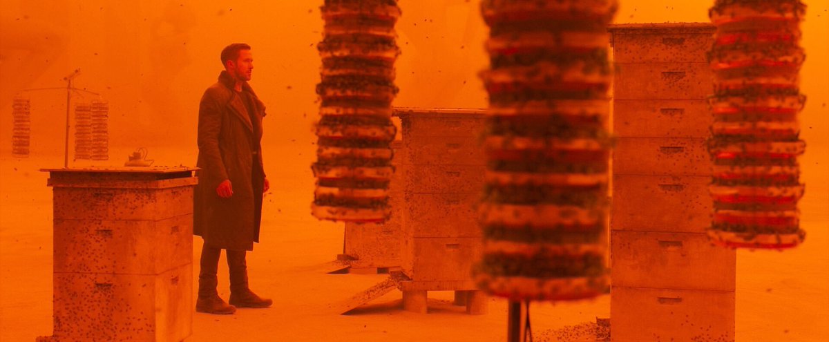 screentime's tweet photo. Denis Villeneuve is shocked he's still making movies after 'Blade Runner 2049' flopped

"I put myself into massive artistic danger ... As Christopher Nolan said to me once ... [that was] walking on sacred territory ... It was sacrilegious what I did" 

🎙 Happy Sad Confused https://t.co/R4MQBoKtZd