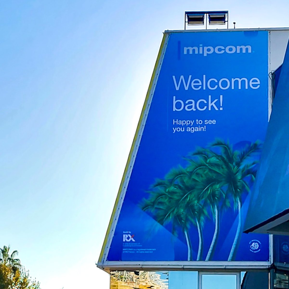 Shadow Pine Studios tweet media