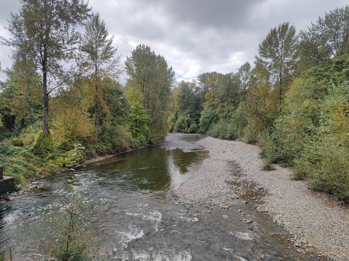 GoProFun's tweet photo. Re-starting the #running cycle after last week's #UltraMarathon #50M
#HIIT today
Had hoped for #fallfoliage, but it's hard to come by in #BigWA, the Evergreen State!
Indeed, #run in hiking shoes because, maybe you've heard, it's wet around here!
#BreakingImpossible https://t.co/8smqwxpugw