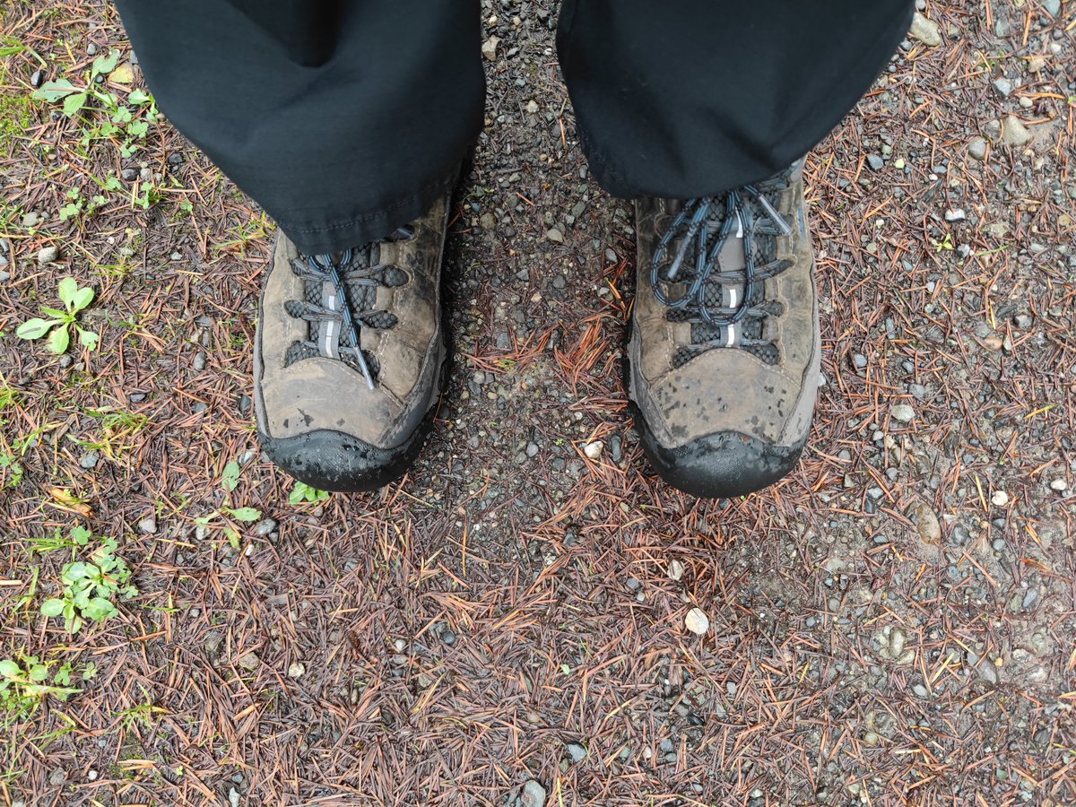 GoProFun's tweet photo. Re-starting the #running cycle after last week's #UltraMarathon #50M
#HIIT today
Had hoped for #fallfoliage, but it's hard to come by in #BigWA, the Evergreen State!
Indeed, #run in hiking shoes because, maybe you've heard, it's wet around here!
#BreakingImpossible https://t.co/8smqwxpugw