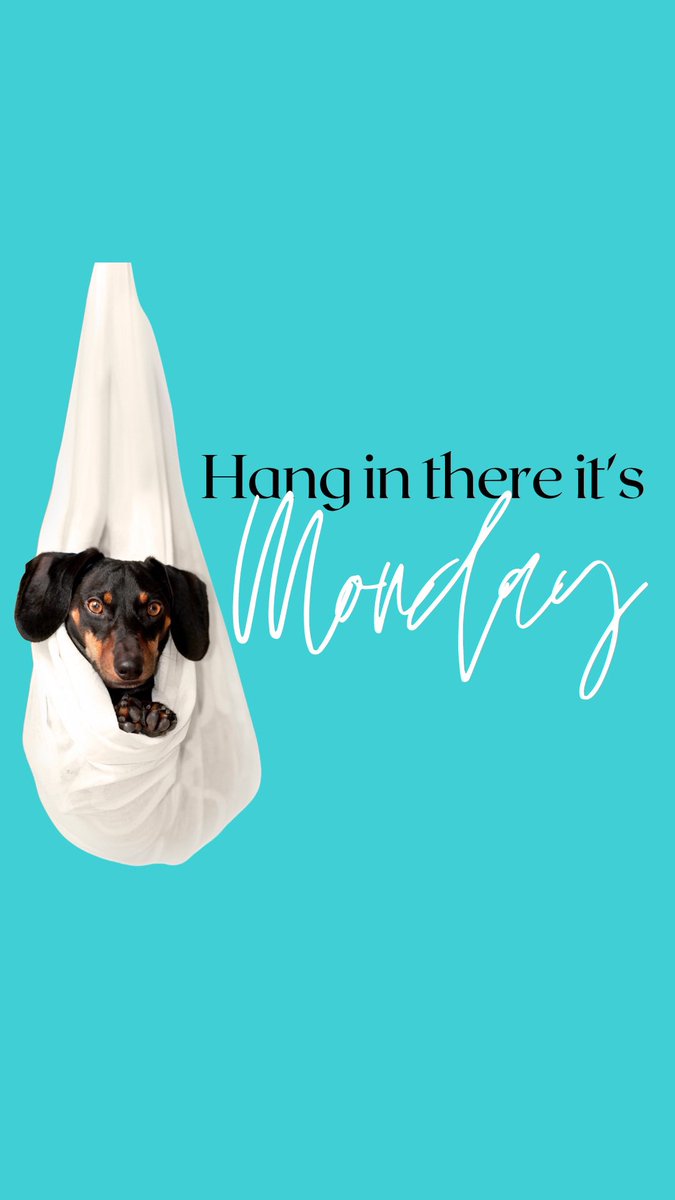 inpupswetrust's tweet photo. Monday mood https://t.co/UqqaVjr2h1
