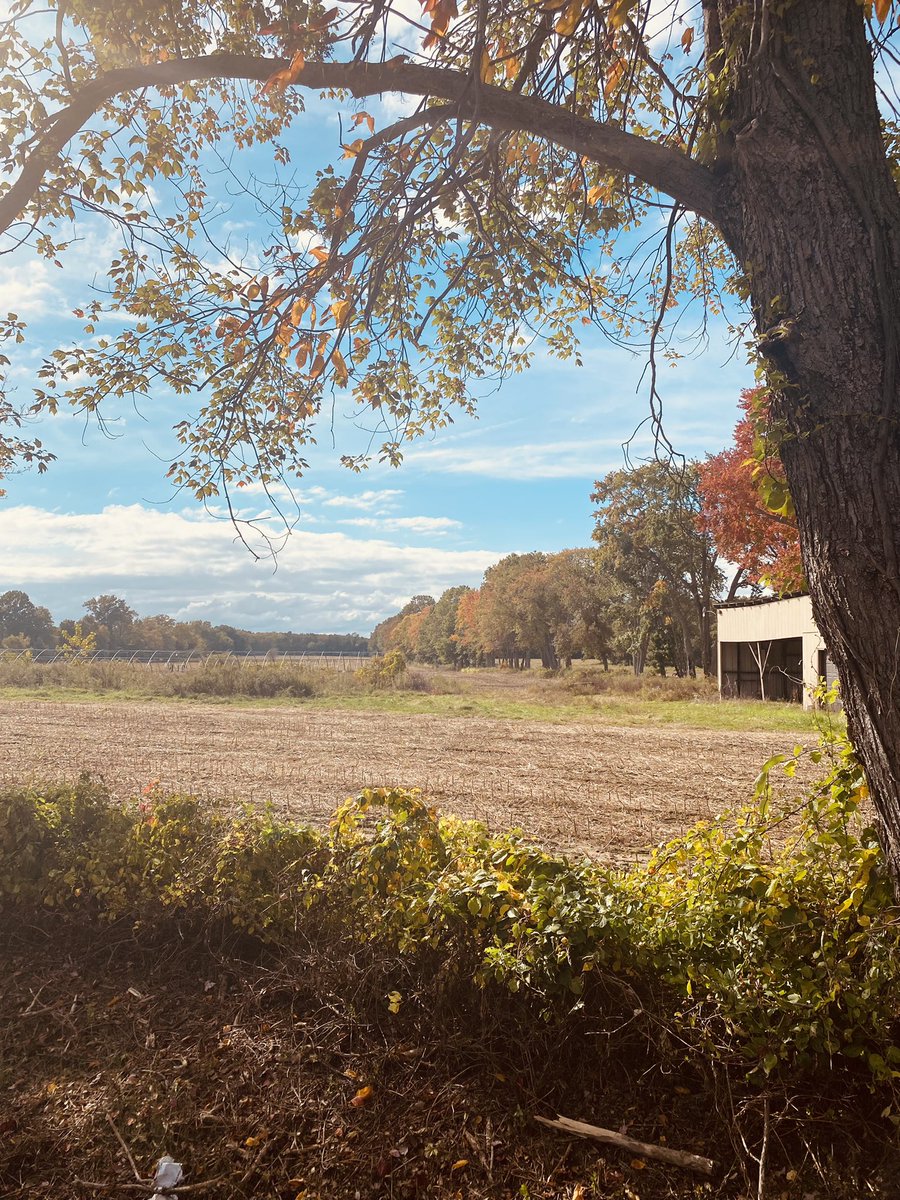 Chris Murphy 🟧 tweet media