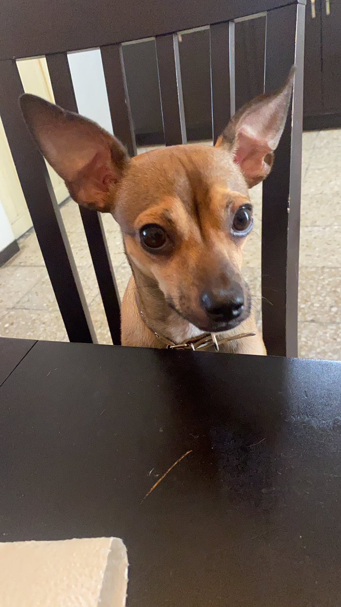 LeslieRiveraa's tweet photo. El panchito y la fridita ✨✨ https://t.co/IJNumbvxc6